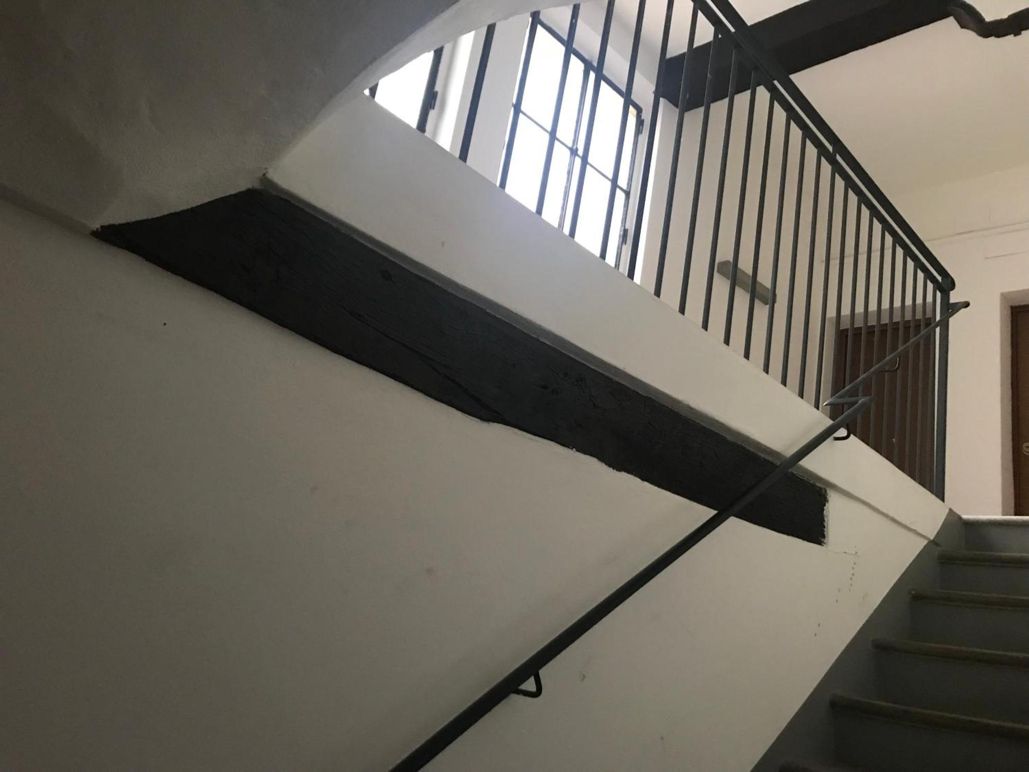 Domus Apartment Модена Екстериор снимка